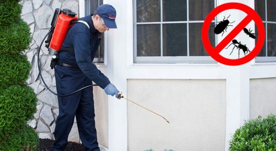 Doğanyol Böcek ve Haşere İlaçlama böcek ilaçlama ve haşere kontrolü — ilaclama-tr.com